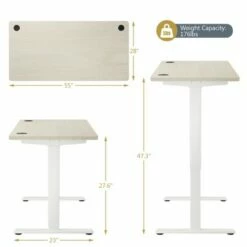 Costway Electric Adjustable Standing up Desk Dual Motor w/ Controller