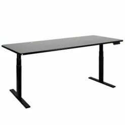 XL Premium Height Adjustable Standing Desk Dual Motor Frame and Matte Top - Autonomous Black/white -Outlet Desks Store unnamed file 4665